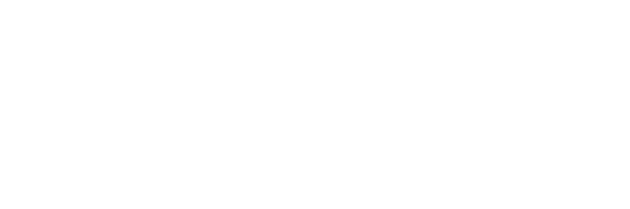 Metropolis Management Group