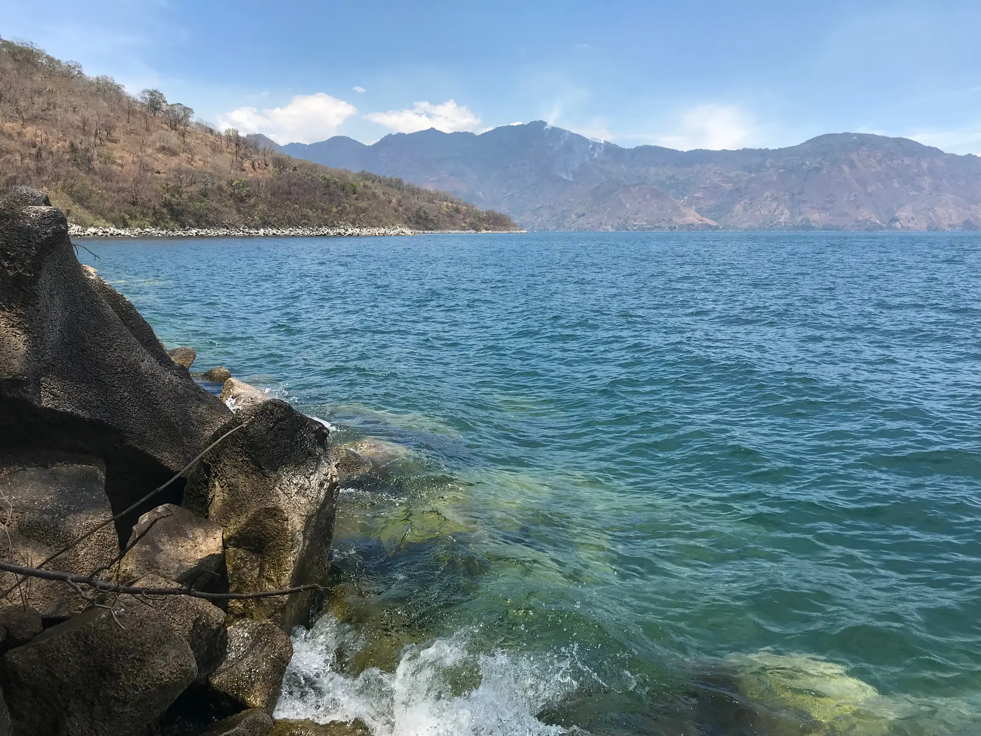 The shoreline of the LAVA reserve, photographed from the water